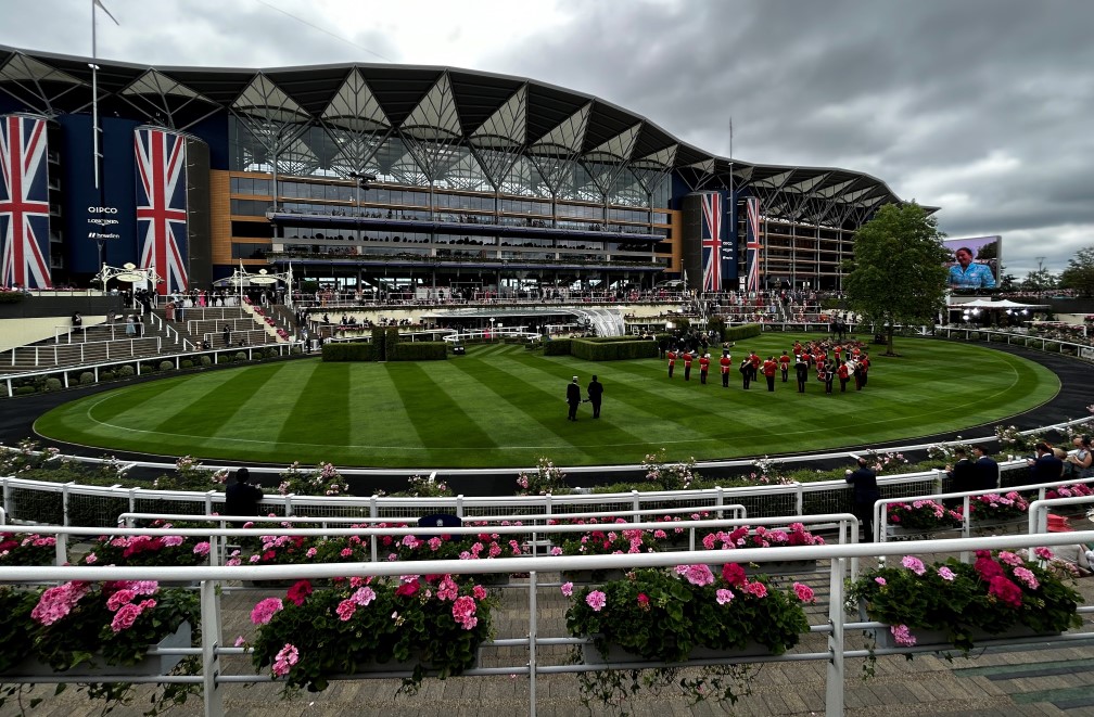 News - Ascot